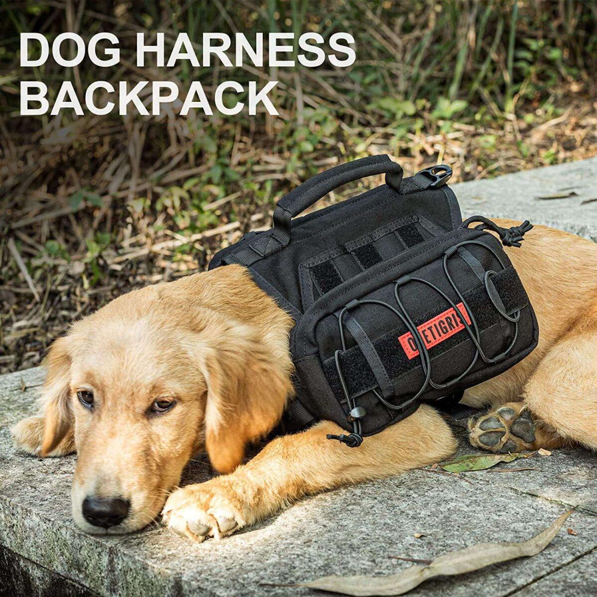 dog backpack