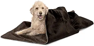 blankets for dogs