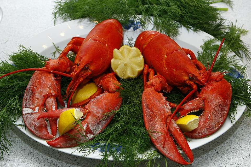 Lobster Foods