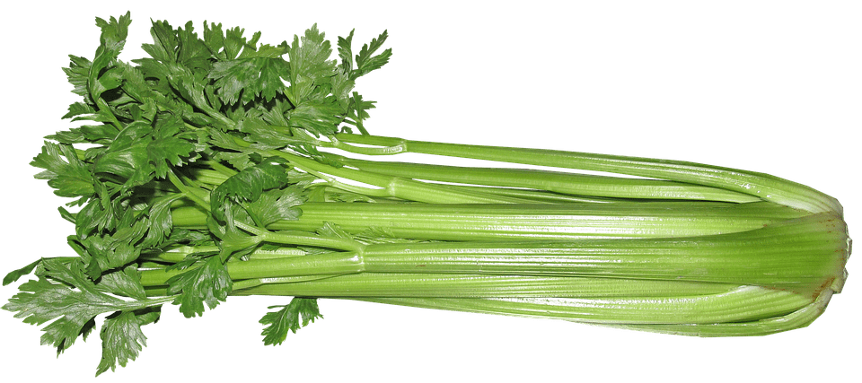 Is Celery Good for Dogs
